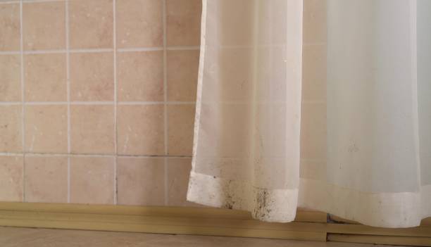 Mold Remediation for Rental Properties in Jericho, NY
