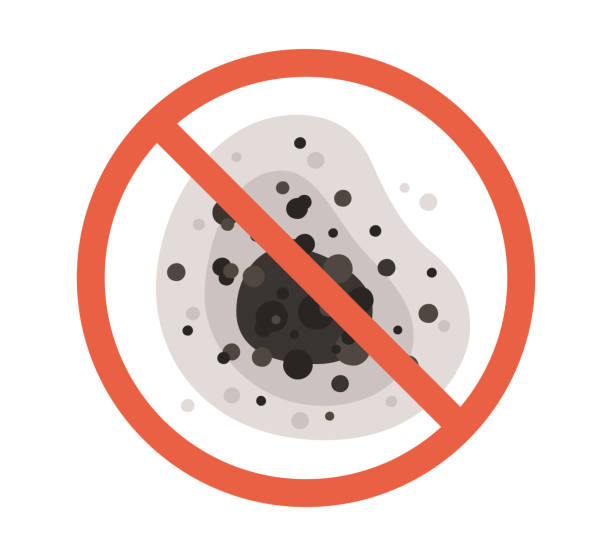 Best Airborne Mold Testing  in Jericho, NY