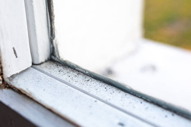 Best Mold-Related Health Consultation  in Jericho, NY